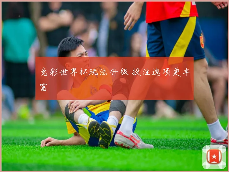 竞彩世界杯玩法升级 投注选项更丰富