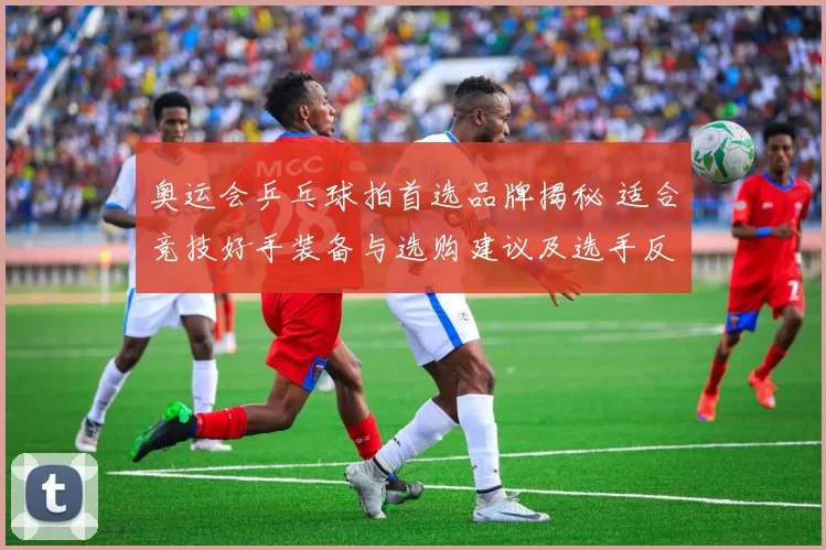 奥运会乒乓球拍首选品牌揭秘 适合竞技好手装备与选购建议及选手反馈