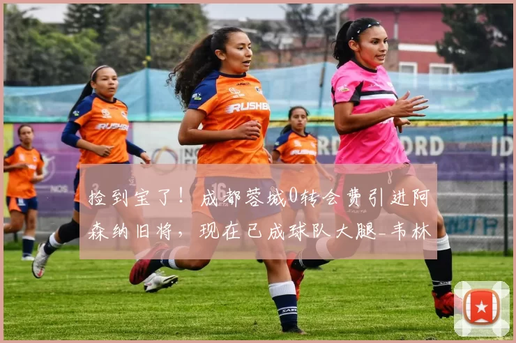 捡到宝了！成都蓉城0转会费引进阿森纳旧将，现在已成球队大腿_韦林顿·席尔瓦_本赛季_联赛