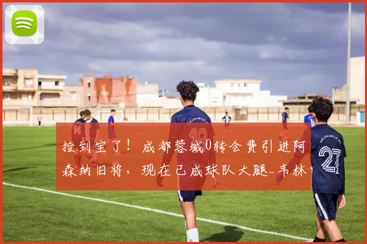 捡到宝了！成都蓉城0转会费引进阿森纳旧将，现在已成球队大腿_韦林顿·席尔瓦_本赛季_联赛